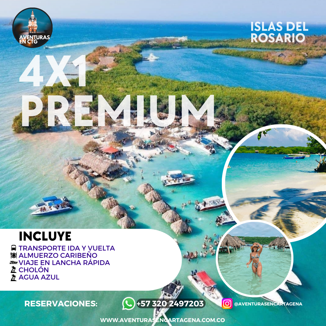 4x1 Premium