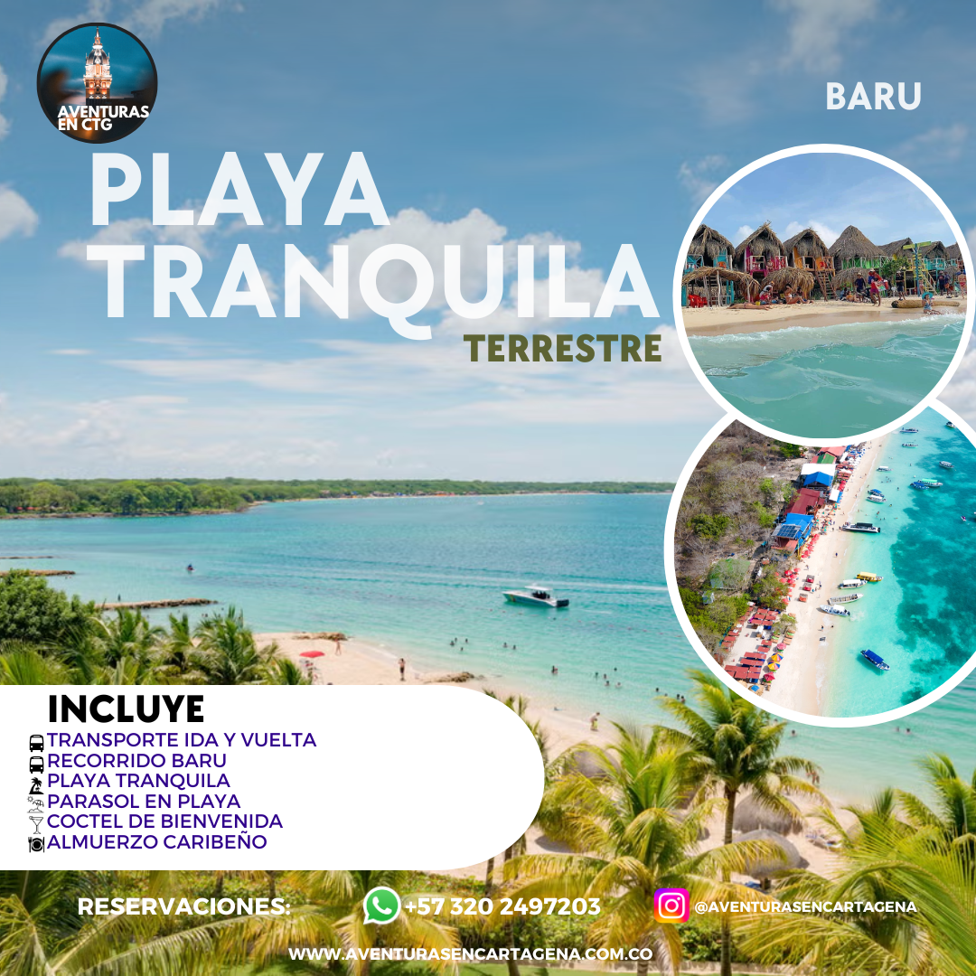 Playa tranquila terrestre
