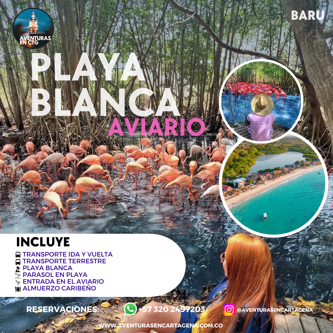 Baru + Aviario